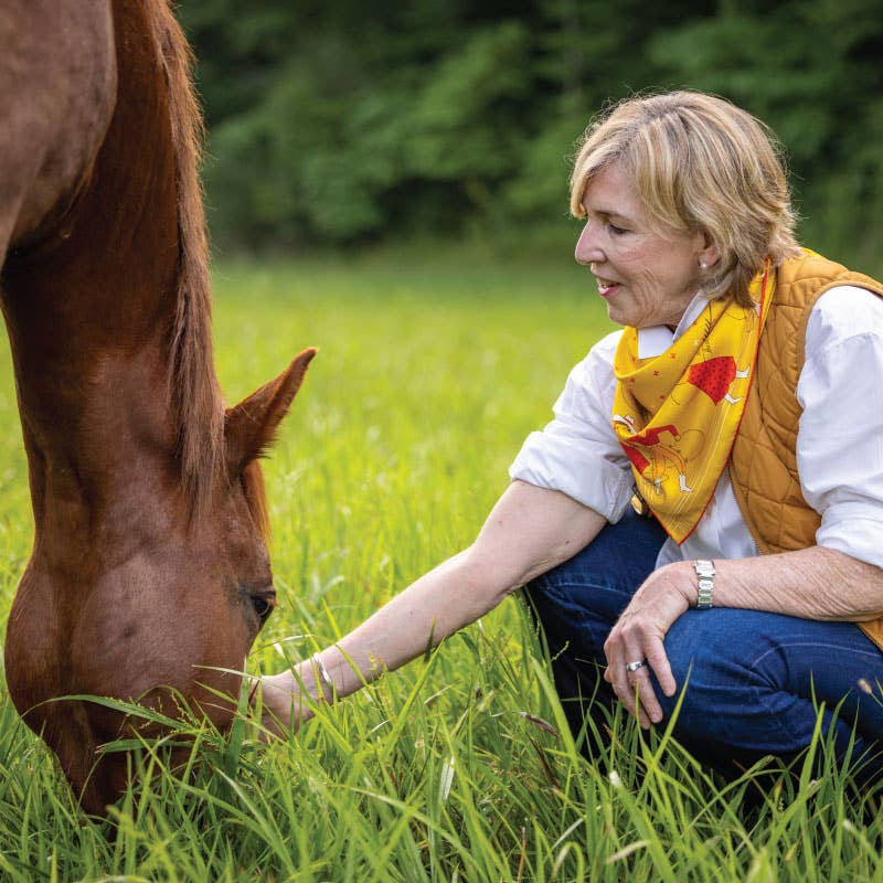 SILK SCARF  “Buck Up Buckaroo”