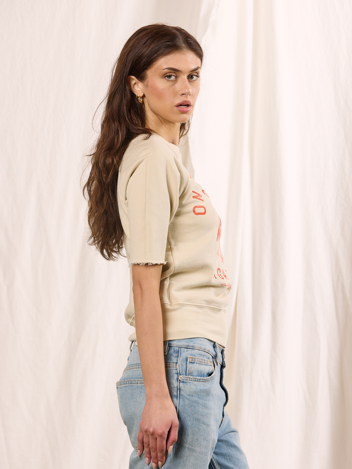 Willie Nelson on the Road Raglan