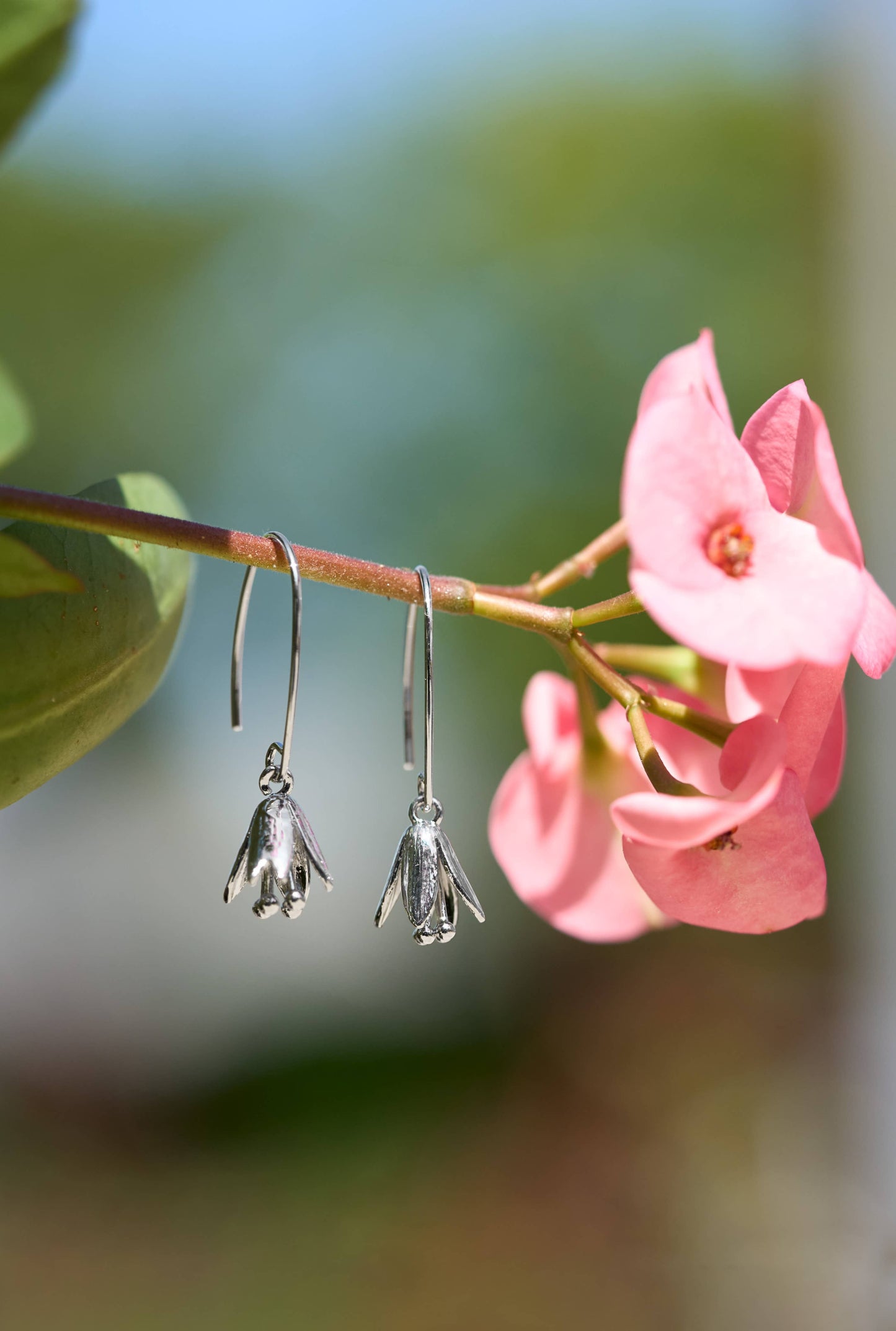 Courtenay Tulip Earrings