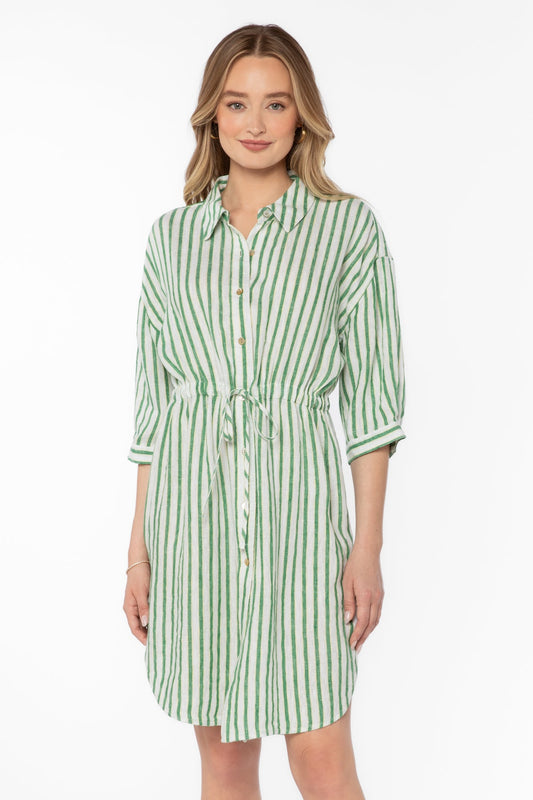 JENNEVA GREEN STRIPE DRESS