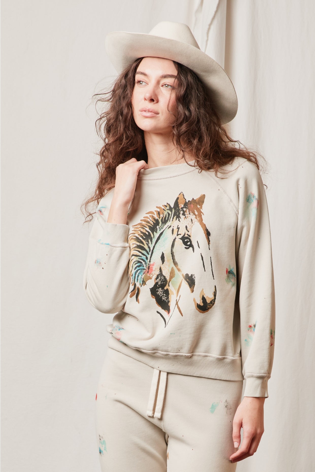 High Plains Stencil Sweatshirt
