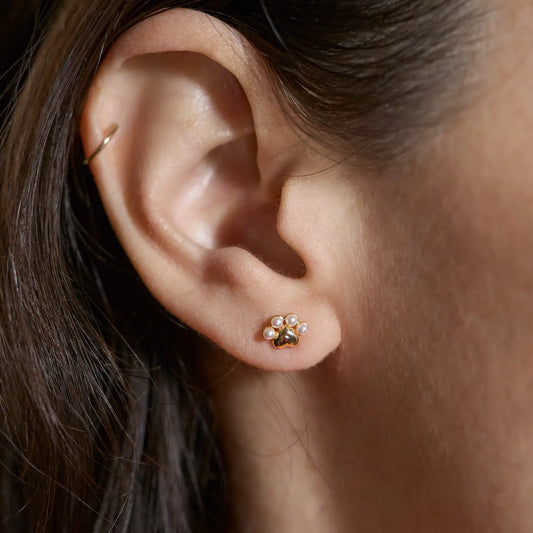SHIMMER PAW STUDS